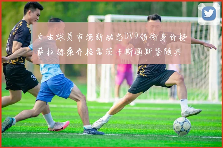 自由球员市场新动态DV9领衔身价榜萨拉赫桑乔格雷茨卡斯通斯紧随其后