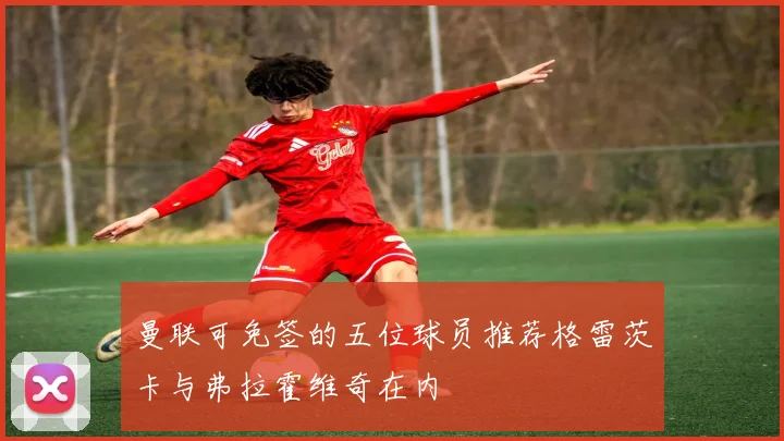曼联可免签的五位球员推荐格雷茨卡与弗拉霍维奇在内