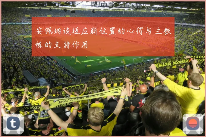安佩姆谈适应新位置的心得与主教练的支持作用